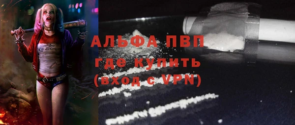 сатива Касимов