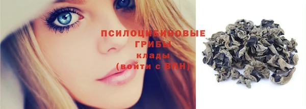 2c-b Карпинск