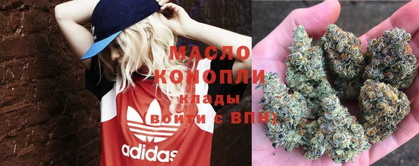 сатива Касимов