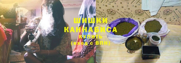 сатива Касимов