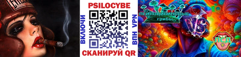 Купить где  Медынь  Галлюциногенные грибы прущие грибы 